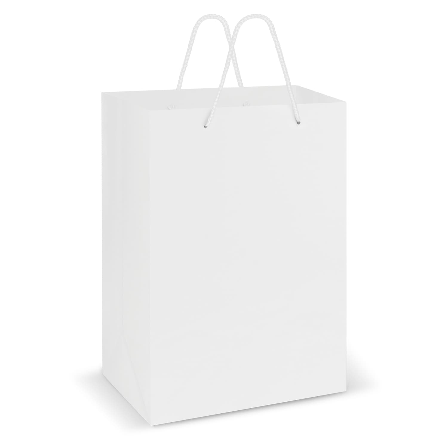 Laminated Carry Bag - Large - Image 3